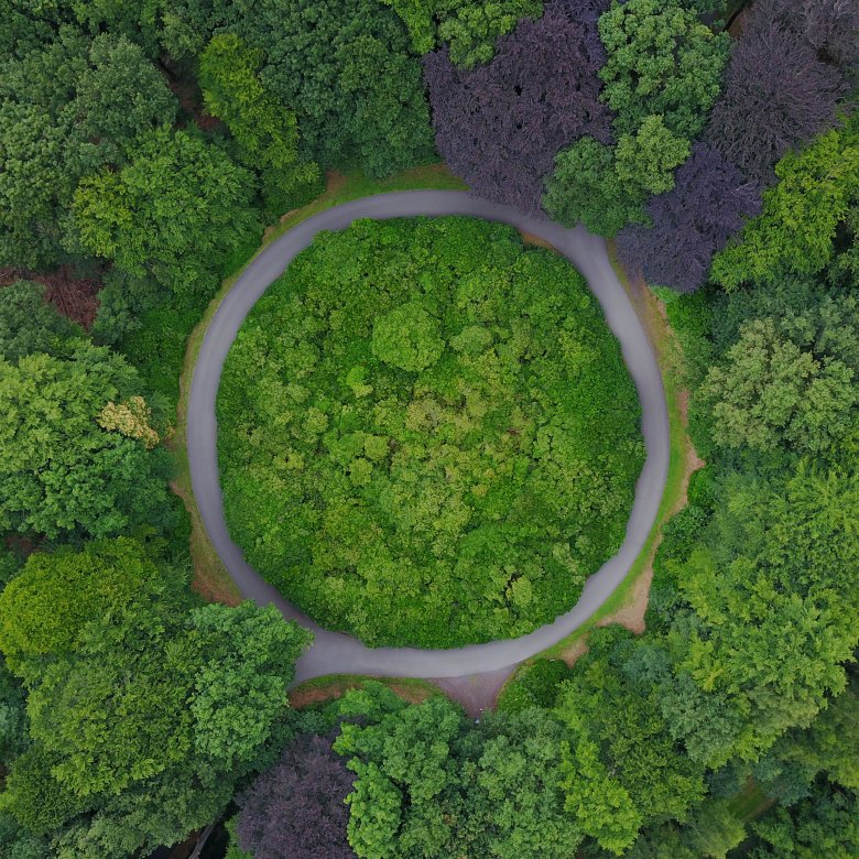 Bilde av en grønn skog i fugleperspektiv