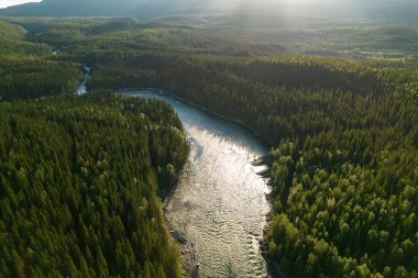 Luftfoto av en elv som slynger seg gjennom en tett skog i solnedgang.